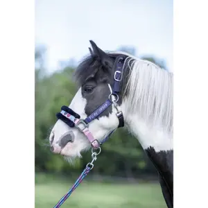 Kantar dla konia futerkowego HKM Funny Horses Hearts image-1