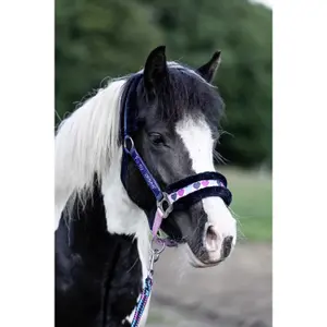 Kantar dla konia futerkowego HKM Funny Horses Hearts image-2