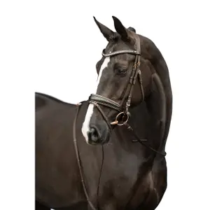 Anatomical riding bridle HKM Sofia image-1