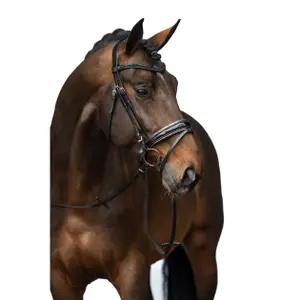 Anatomical riding bridle HKM Sofia image-1