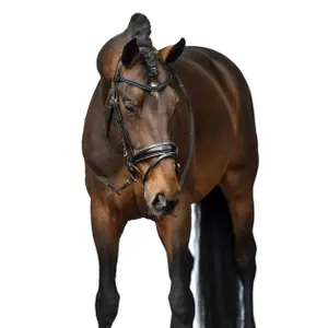 Anatomical riding bridle HKM Sofia image-2
