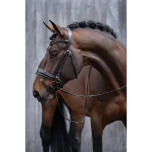 Anatomical riding bridle HKM Sofia image-3