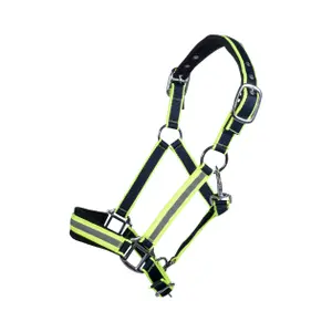 Halter for horse HKM Reflective image-0