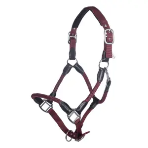 Cavezza HKM Carlotta image-0
