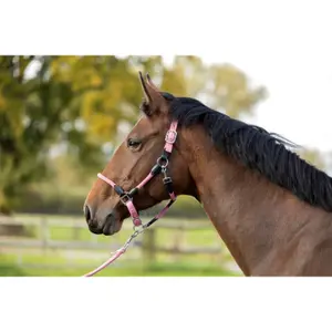 Halter for horse HKM Carlotta image-1