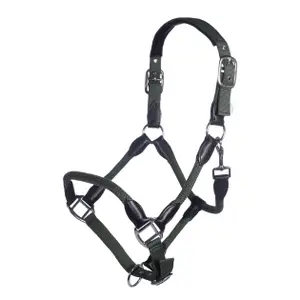 Halfter für Pferd HKM Carlotta image-0