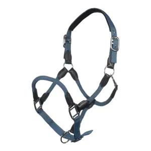 Halter for horse HKM Carlotta