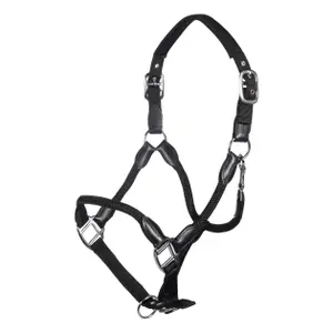 Halter for horse HKM Carlotta