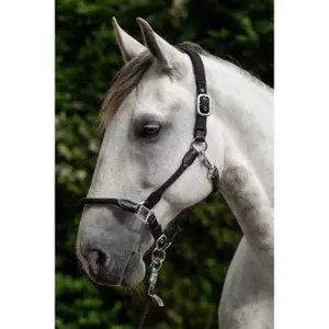 Halter for horse HKM Carlotta image-1