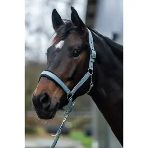 Grime til heste HKM Catherine image-1