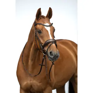 Bitless bridle for horses HKM Ira image-4