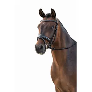 Cabeçada sem freio para cavalos HKM Ira image-1