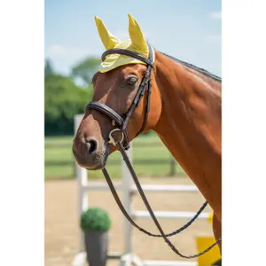 Korte hoed voor paarden HKM Essentials image-1