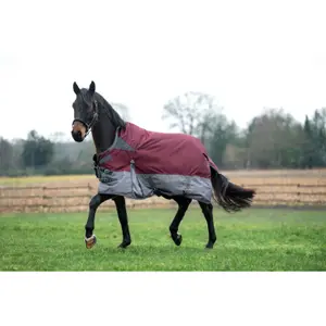 High collar  Blanket HKM Yukon 600D image-1