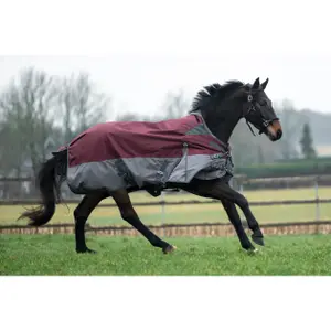 High collar  Blanket HKM Yukon 600D image-2