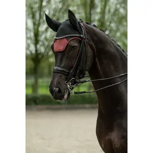 Korte hoed voor paarden HKM Sports image-2