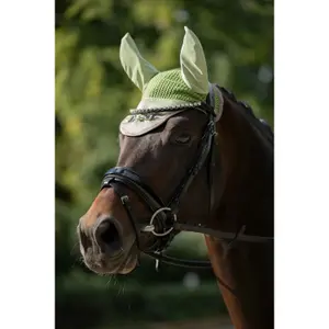 Korte hoed voor paarden HKM Golden Bit image-3