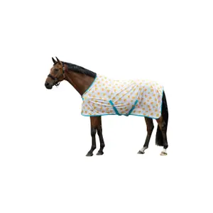 Paardenvliegendeken HKM Naples image-1
