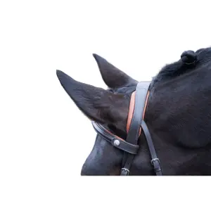 Bitless bridle for horses HKM Carlos image-1