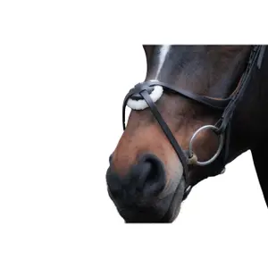 Bitless bridle for horses HKM Carlos image-2