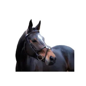 Bitless bridle for horses HKM Carlos image-3