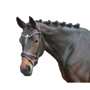 Riding bridle HKM Manchester image-1