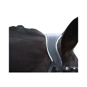 Riding bridle HKM Manchester image-1