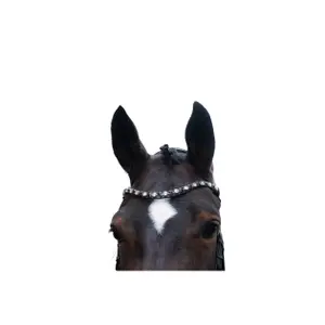 Anatomical riding bridle HKM Mila image-2