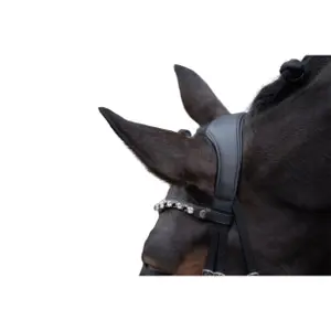 Anatomical riding bridle HKM Mila image-3