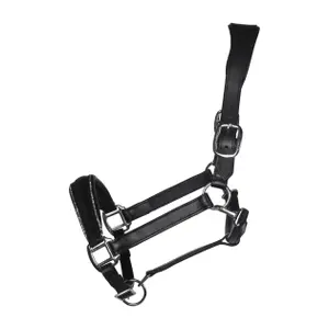 Leather halter for horses HKM Glamour image-0