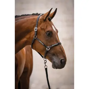Leren halster voor paarden HKM Sparkle image-2