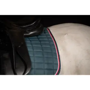 Sottosella dressage HKM Manchester image-2