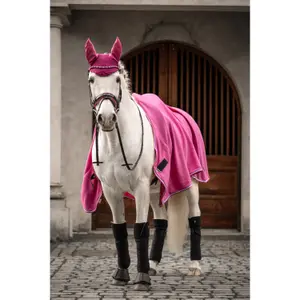 Korte hoed voor paarden HKM Manchester image-1
