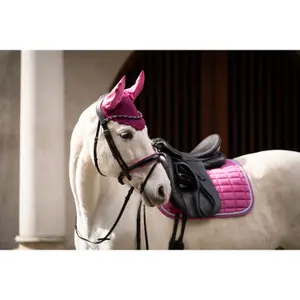 Korte hoed voor paarden HKM Manchester image-2