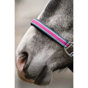 Hufgeschirr für Pferde mit Karabiner HKM Manchester image-2