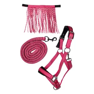 Halfter für Pferd HKM Lilly image-0
