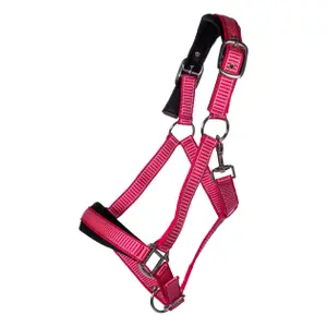 Halfter für Pferd HKM Lilly image-1