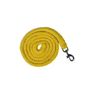 Riding lanyard with snap hook HKM GlowLine image-0