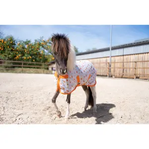 Fly Blanket HKM Splash image-2