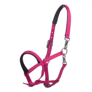 Halster voor veulen HKM Millie image-0