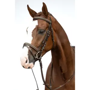 Cabeçada sem freio para cavalos HKM Lou image-1