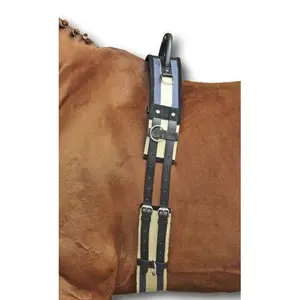 Surfacing for horse with handle HKM