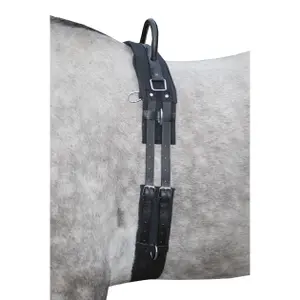 Surfacing for horse with handle HKM