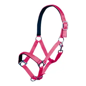 Cavezza HKM Stars Softice image-0