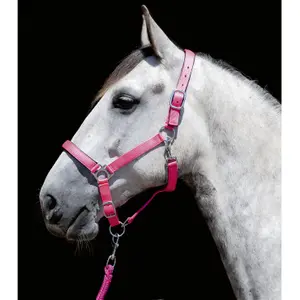 Cavezza HKM Stars Softice image-1