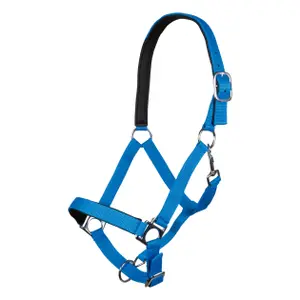 Cavezza HKM Stars Softice image-0