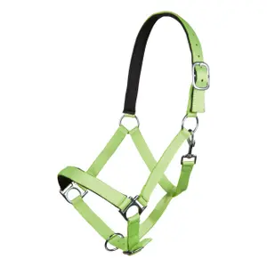 Halfter für Pferd HKM Stars Softice image-0