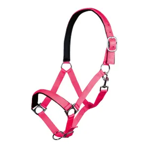 Halfter für Pferd HKM Stars Softice image-0