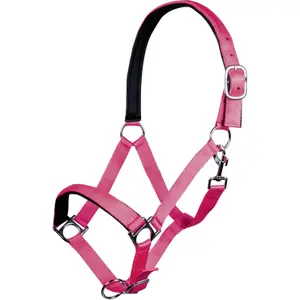 Halfter für Pferd HKM Stars Softice image-1