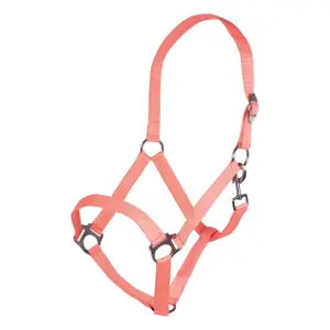 Halster voor paarden HKM Stars Economy image-0